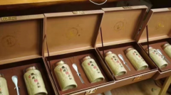 铁皮石斛一一一秦始皇长生不老的传说	